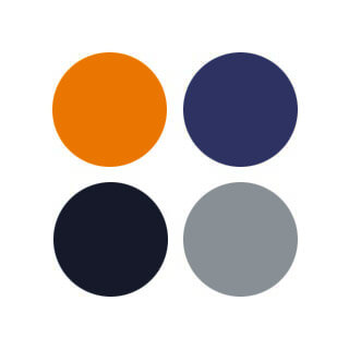 2X Solutions Color Palette