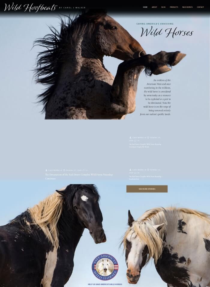 Wild Hoof Beats Redesign Featured